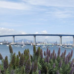 Coronado Featured Image