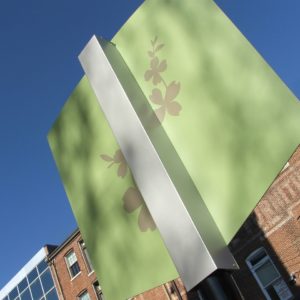 Charlottesville, VA ID Detail