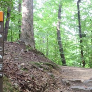 Friends of Wissahickon