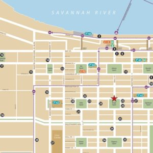 Savannah Maps Close-Up