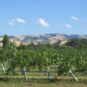 Walla Walla Valley