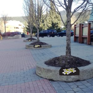 Whistler Cultural Connector